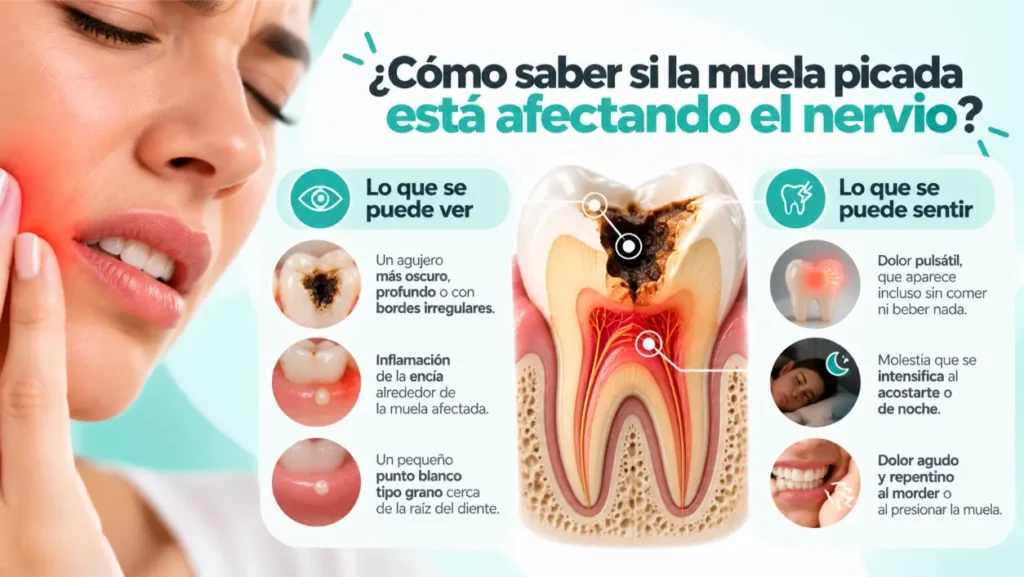 Como saber si la muela picada esta afectando el nervio